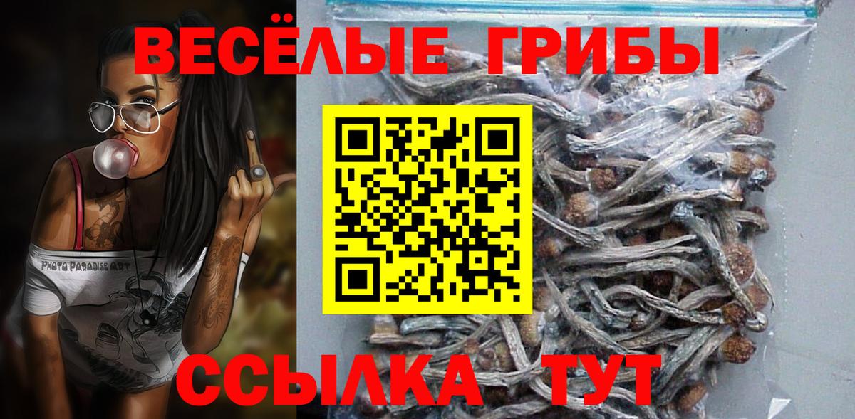 наркотики  Псилоцибиновые грибы мицелий  Вход с VPN  Сертолово 